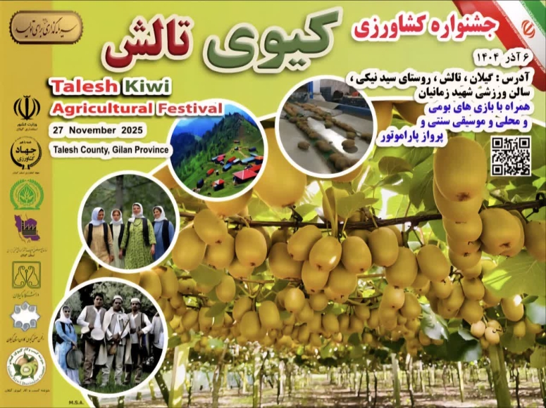 جشنواره کشاورزی کیوی در تالش