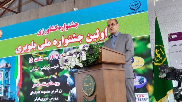 استاندار گیلان:مجتمع گلخانه&zwnj;ای بلوبری بندر انزلی هم&zwnj;اکنون زمینه اشتغال مستقیم ۲۴۰ نفر را فراهم کرده است