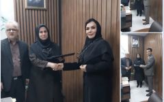 آغاز فعالیت کمیته راهبری مراکز خدمات مشاوره غیر دولتی