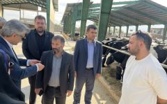 رئیس سازمان نظام مهندسی کشاورزی و منابع طبیعی کشور تأکید کرد: واحدهای تولیدی، کانون اصلی مهارت‌آموزی و ارتقای توان فنی فارغ‌التحصیلان کشاورزی