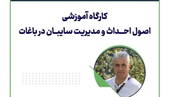 اصول احداث و مدیریت سایبان در باغات؛ از دانش تا بهره‌وری