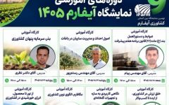 آموزش، توانمندسازی و انتقال دانش؛ مسیر تحول کشاورزی ایران