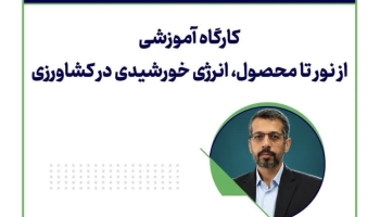 از نور تا محصول؛ انرژی خورشیدی در کشاورزی