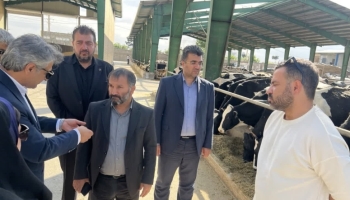 رئیس سازمان نظام مهندسی کشاورزی و منابع طبیعی کشور تأکید کرد: واحدهای تولیدی، کانون اصلی مهارت‌آموزی و ارتقای توان فنی فارغ‌التحصیلان کشاورزی