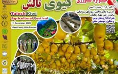 جشنواره کشاورزی کیوی در تالش