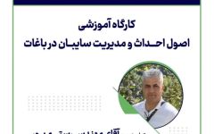 اصول احداث و مدیریت سایبان در باغات؛ از دانش تا بهره‌وری