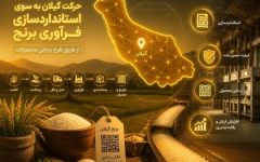 حرکت گیلان به سوی استانداردسازی فرآوری برنج از طریق طرح ردیابی محصولات