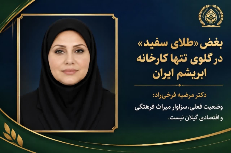 طلای سفید گیلان؛ در انتظار لمس دوباره دستان تدبیر