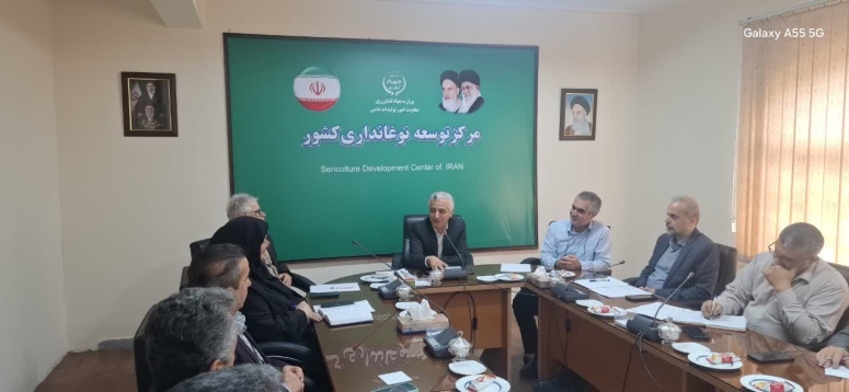 نقشه راه مشترک سازمان نظام مهندسی کشاورزی و مرکز توسعه نوغانداری کشور برای احیای صنعت ابریشم؛ از &laquo;سهم&zwnj;بری دانش&raquo; در مزارع تا &laquo;کشت قراردادی&raquo; در صنایع