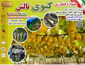 جشنواره کشاورزی کیوی در تالش