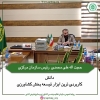 رئیس سازمان نظام مهندسی کشاورزی و منابع طبیعی کشور : دانش کاربردی ترین ابزار توسعه بخش کشاورزی