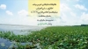 گزارش ادامه روند عملیات اجرایی طرح CEPA تالاب انزلی در استان